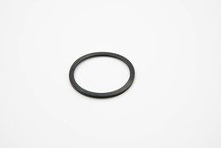 Stützring WD 44.7X50.7X2 FPM DIN 3869
