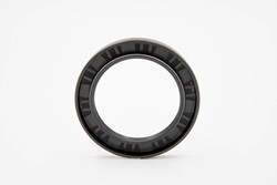 Oil seal 117.47X152.4X12.7 B2SL NBR