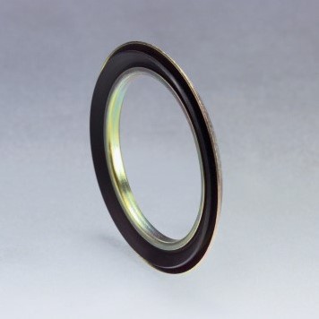 Gamma ring 9RB 15X32X4/6 FPM/SS316