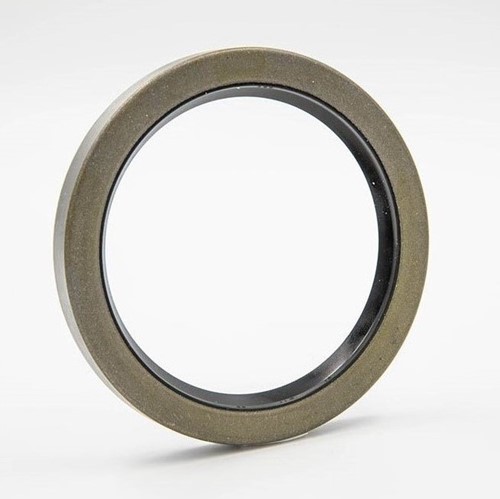 Oil seal 114X170X12 B2SL NBR